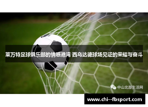 莱万特足球俱乐部的情感港湾 西乌达德球场见证的荣耀与奋斗 莱万特足球俱乐部的情感港湾 西乌达德球场见证的荣耀与奋斗