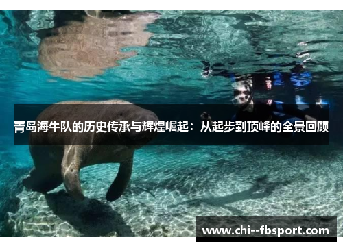 青岛海牛队的历史传承与辉煌崛起：从起步到顶峰的全景回顾