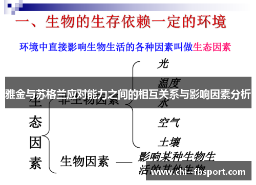 雅金与苏格兰应对能力之间的相互关系与影响因素分析