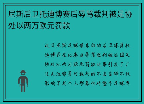 尼斯后卫托迪博赛后辱骂裁判被足协处以两万欧元罚款 尼斯后卫托迪博赛后辱骂裁判被足协处以两万欧元罚款